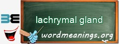 WordMeaning blackboard for lachrymal gland